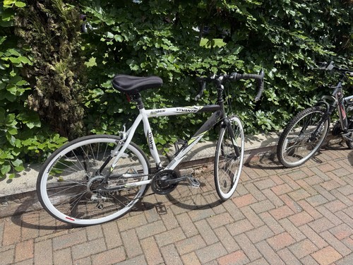 Barracuda vivante racing bike - barracuda,