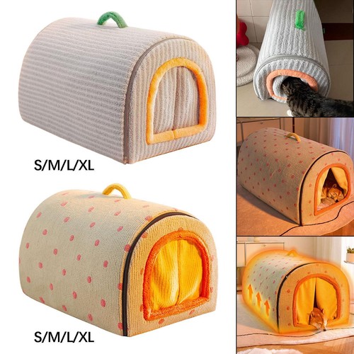 Dog house cat - dog,