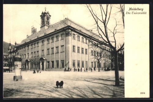 Heidelberg university with - university,