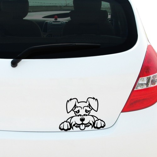 Peeking schnauzer vinyl decal - schnauzer,