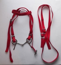 MINIATURE HORSE / SM PONY