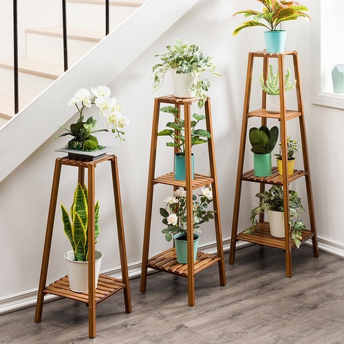 Simplicity bamboo tall plant - bamboo,
