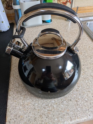 Prestige whistling kettle - prestige,