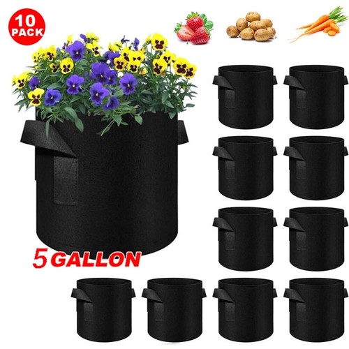 10pack gallon felt grow - 5/10pack,