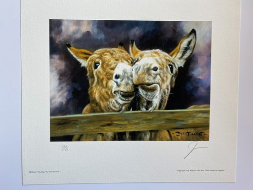 Donkey limited edition print - donkey,