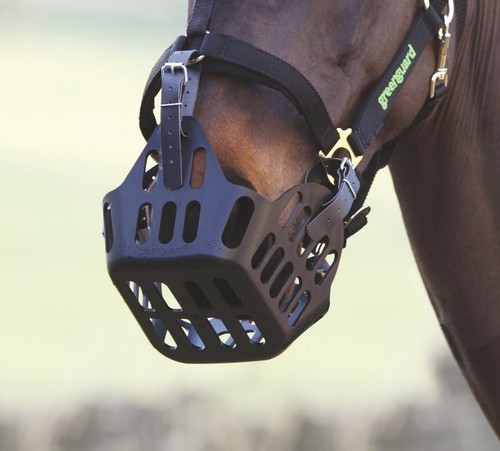 Greenguard horse grass muzzle - horse,
