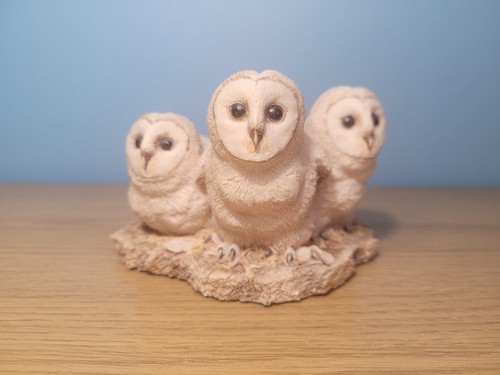 Barn owlets border - barn,