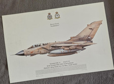 Squadron Print  Tornado GR.1A ZA372 'E' RAF Tornado GR.1/GR.1A D Squadron Prints