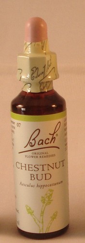 Bach flower remedies chestnut - remedies,,