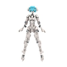ZITIANYOUBUILD Female Robot