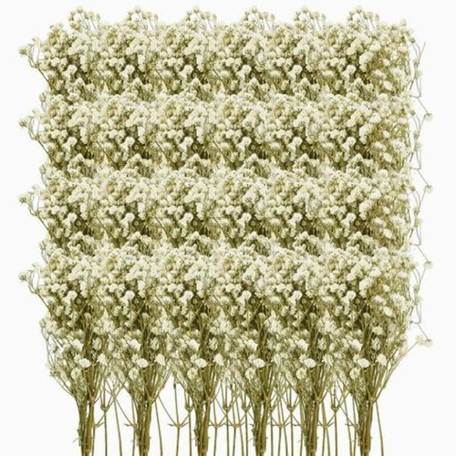 100pcs natural dried - 100pcs, baby’s