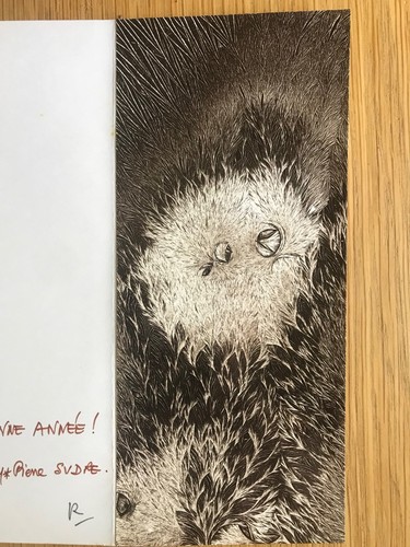 Sudre jean pierre original - sudre,
