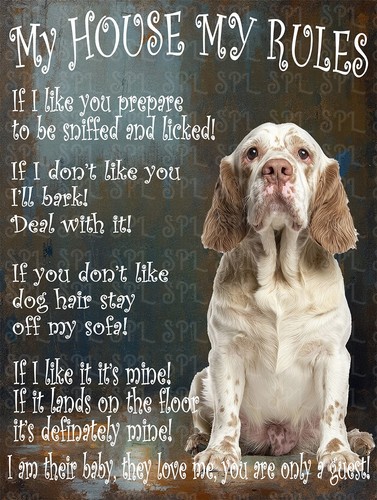 Clumber spaniel house - clumber,