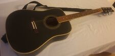 Washburn acustic guitar D10B.