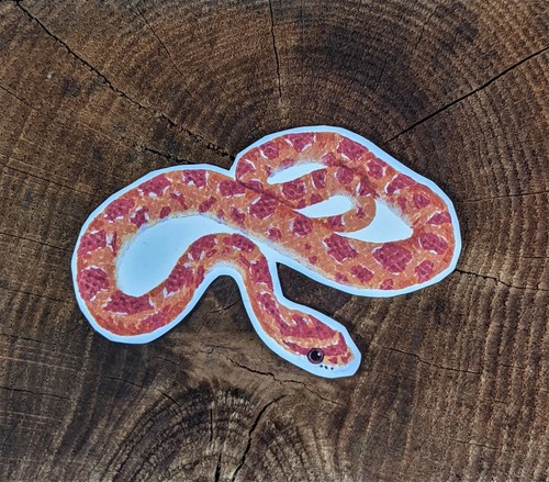 Corn snake name tag - snake,