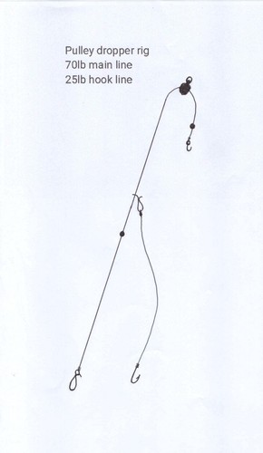 Sea fishing pulley dropper - 4,