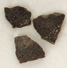 Hadrosaur Egg Shell Fossils