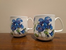 Bone China Tea Coffee Mugs  Set Of 2 Blue And White Floral
