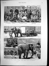 Original Old Antique Print