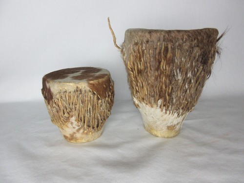 Pair african hide - hide, covered