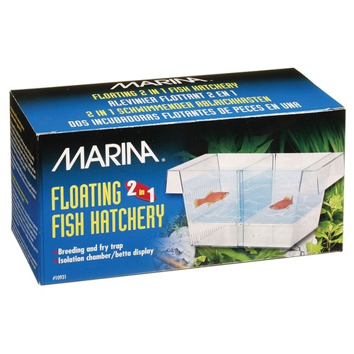 Aquarium fish hatchery marina - aquarium,
