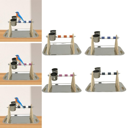 Wooden bird playground parrots - wooden,