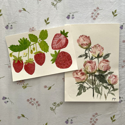 Roses strawberry studies - &,