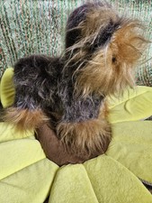 🐞Vintage Yorkshire Terrier