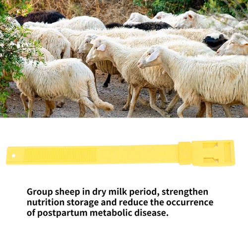 36cm yellow 10pcs goat - 36cm, collar