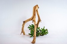 Manzanita Aquarium Driftwood