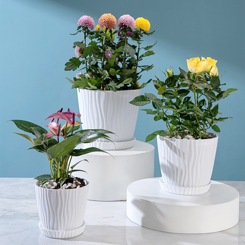 Set plant flower pots - of,