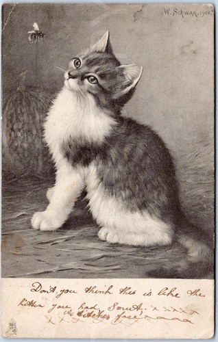 Stoke trent vtg - stoke-on-trent,