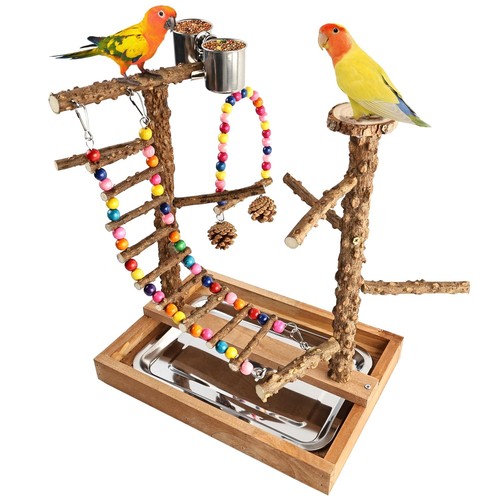 Bird perch play stand - bird,