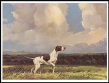 POINTER DOG AT WORK DOG ART