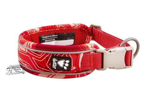 Premium padded dog - dog, collar