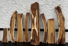 1m heavy limb of laburnum