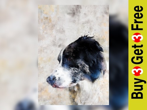 Border collie dog watercolour - border,