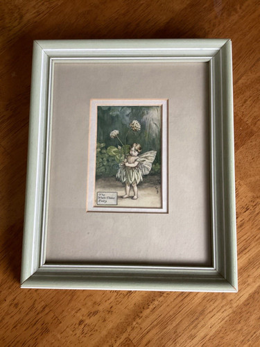 White clover fairy cicely - clover,