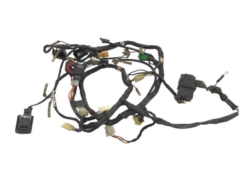 Electrical harness suzuki rgv - suzuki,