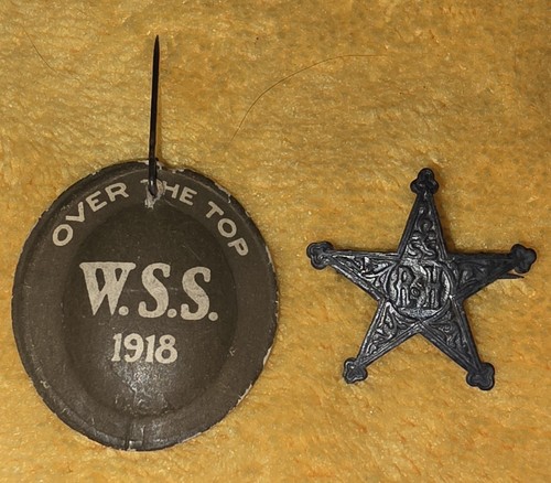 1918 wss war savings - 1918, pin