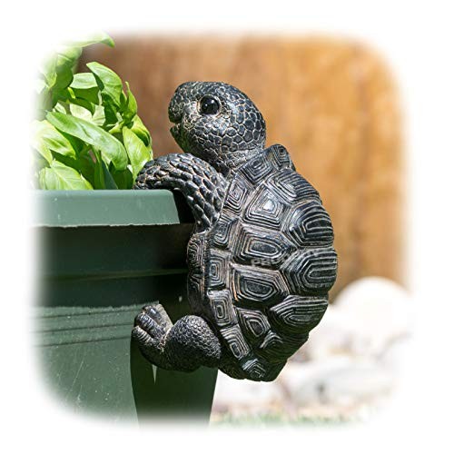 Light black tortoise hanging - black,
