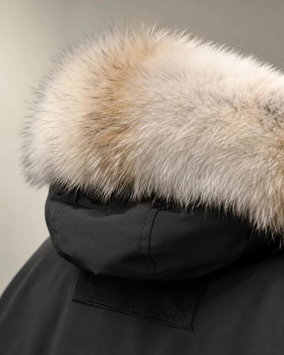 Premium canada goose coyote - goose,