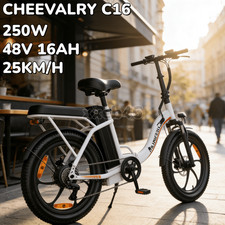 Cheevalry 250W 20" Electric