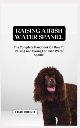 Irish water spaniel - water, dog