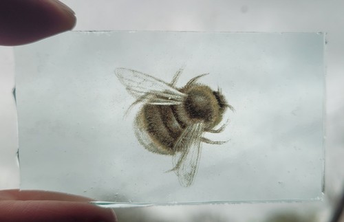 Stained glass bumble bee kiln - glass,