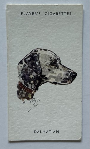 Player dogs heads - dogs’,