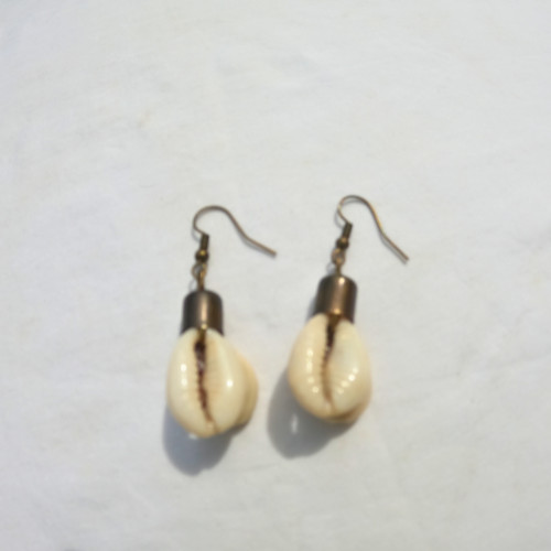 African sea shell - sea, brass