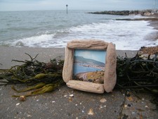Driftwood photo