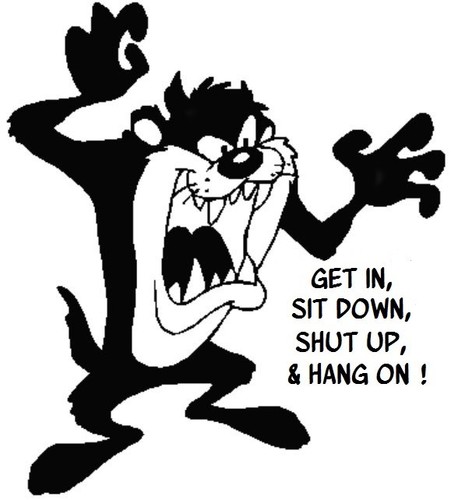 Fun get vinyl car sticker - in,
