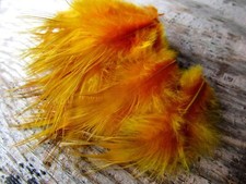 IFS Bleached Golden Pheasant